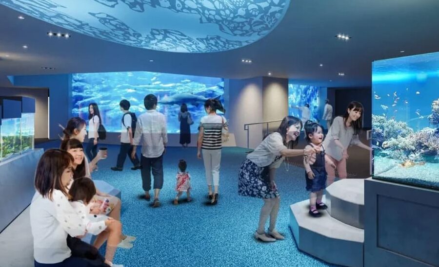すみだ水族館の料金はいくらですか？詳細情報まとめ