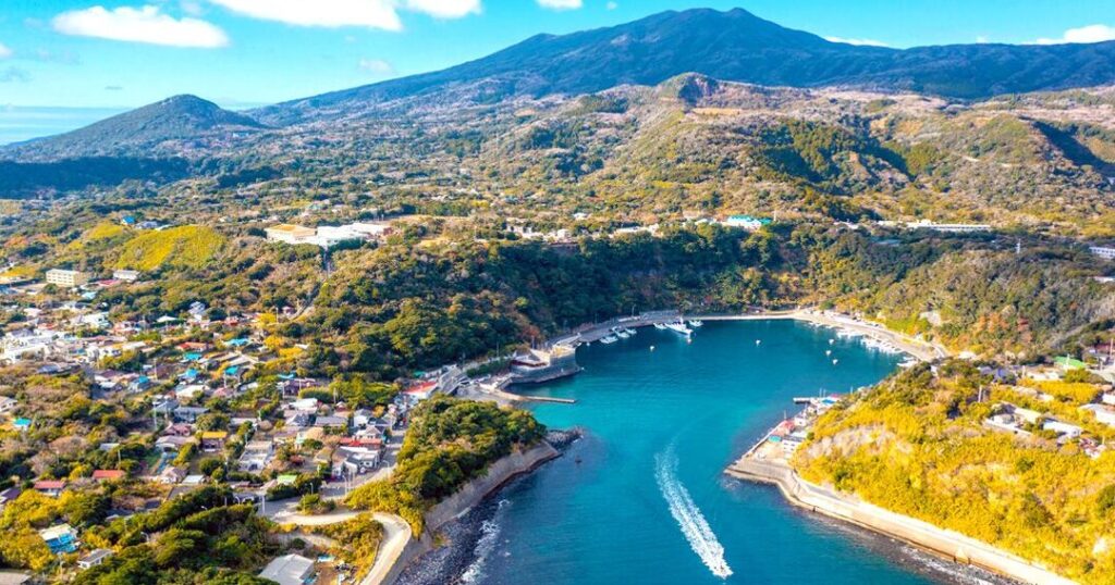 館山から大島までのフェリー料金はいくらですか？詳細情報